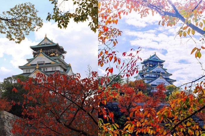 日本紅葉2022 日本旅遊賞楓懶人包 拍拖景點 紅葉打卡攻略